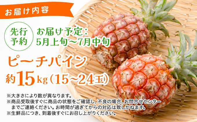 《2026年先行予約》ピーチパイン 約15kg 15～24玉 農園ファイミール 完熟 果物 フルーツ 031-a029_2026