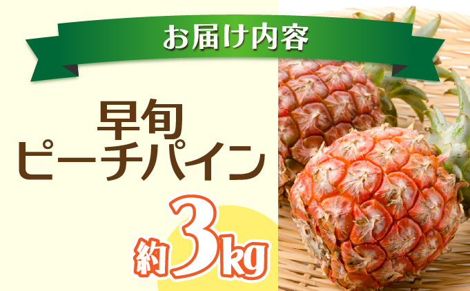 2026年 先行予約 栽培期間中 農薬不使用 夏まで待ちきれない！早旬 ピーチパイン 約3kg 西表島 初エコファーマー認定 036-a001_2026