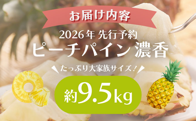 2026年 先行予約 ピーチパイン約9.5kg 濃香 パイン ★たっぷり大家族サイズ★西表島 絶品 初エコファーマー認定 036-a008_2026
