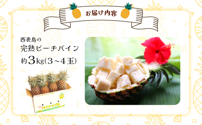 2026年 先行予約 西表島の完熟ピーチパイン 3kg (3〜4玉)【嘉本商店 完熟 果物 フルーツ】お届け：5月中旬～6月中旬頃