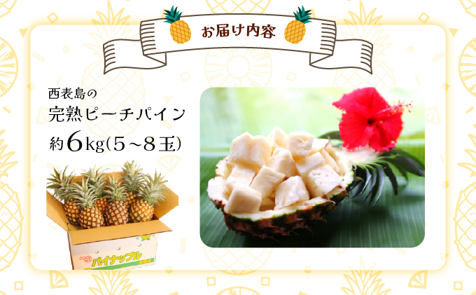 2026年 先行予約 西表島の完熟ピーチパイン 6kg (5〜8玉)【嘉本商店 完熟 果物 フルーツ】お届け：5月中旬～6月中旬頃