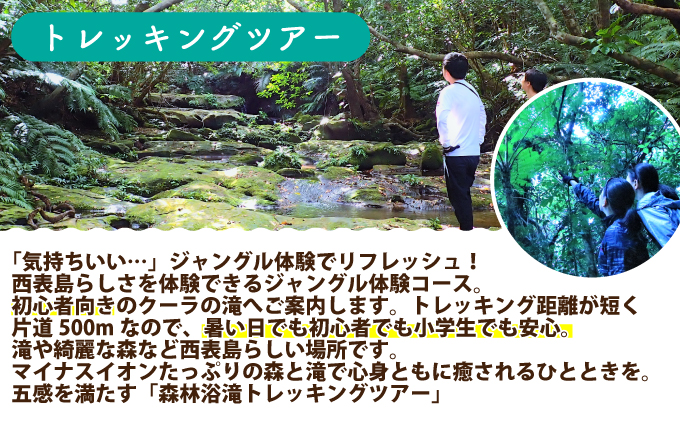 西表島 半日森林浴滝トレッキングツアー【体験可能期間:11月1日～4月30日】小人1名分