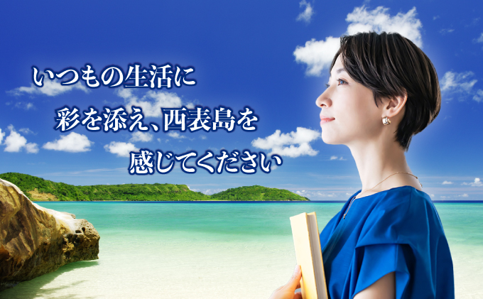 ブックカバー 【 ブックカバー 本 カバー 西表島 ミンサー ミンサー織り 】