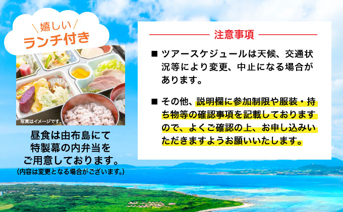 大人気の3島めぐりツアー 西表島・由布島・竹富島を満喫する日帰りツアー マングローブ遊覧＋水牛車＋選べる竹富島での過ごし方＜1日／昼食付＞【 旅行 体験チケット観光 大自然 体験ツアー 観光 沖縄 アクティビティ 】071-a002