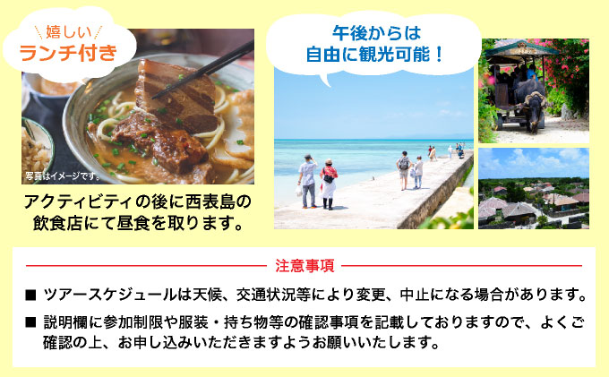 西表島マングローブカヌーツアー　～亜熱帯の自然を半日で満喫　嬉しい昼食付き！＜指定ホテル送迎選択可／石垣島発＞【 旅行 体験チケット観光 大自然 体験ツアー 観光 沖縄 アクティビティ カヌー】071-a007