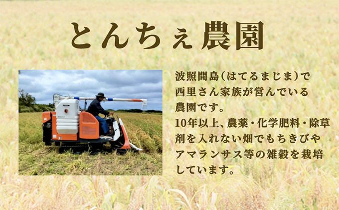 沖縄県波照間島産　日本最南端の島から贈る『もちきび』400g×2袋　とんちぇ農園（農薬・化学肥料不使用） [076-a002]