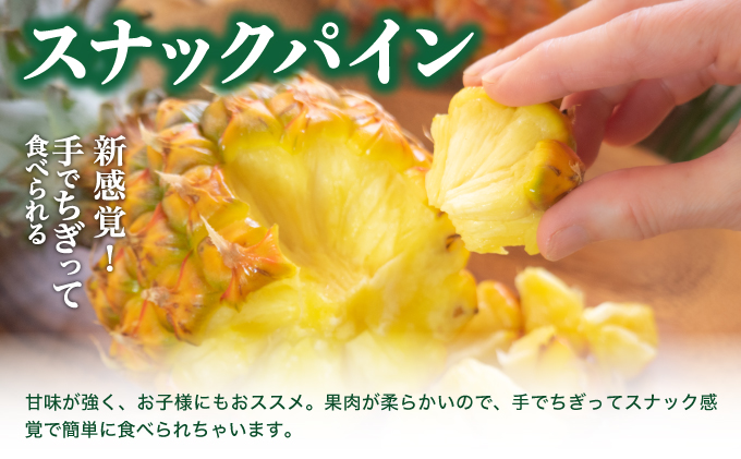 ☆アララガマ農園の定期便☆アララガマ農園のパイナップルを3種とアップルマンゴーを4回に分けてお届け