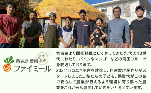 《2026年先行予約》ハワイパイン約4kg 【お届け：2026年6月中旬～7月下旬】【農園ファイミール 完熟 果物 フルーツ パイン パイナップル】 約4kg