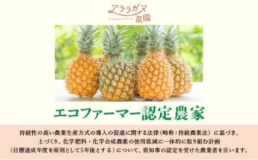 水なし、加熱なし、砂糖なし！天然まるごと！完熟生パイナップル冷凍ピューレ200ml×18本セット 200ml×18本