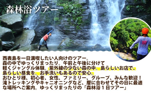西表島 森林浴1日ツアー 大人1名分 【 旅行 体験チケット 西表島ツアー 大自然 体験ツアー 観光 沖縄 森林浴 アクティビティ】 大人1名分