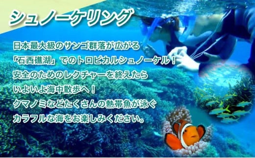 幻の島上陸＆トロピカルシュノーケリング 半日で石垣島の絶景を満喫★初心者歓迎！＜半日／市街地送迎／石垣島発＞【 旅行 体験チケット観光 大自然 体験ツアー 観光 沖縄 アクティビティ シュノーケリング】