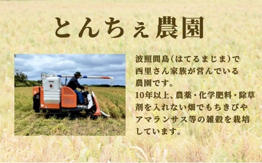 沖縄県波照間島産　日本最南端の島から贈る『もちきび』400g×1袋　とんちぇ農園（農薬・化学肥料不使用）【もちきび 波照間島 沖縄 無農薬 農薬不使用 国産 雑穀】 400g×1袋