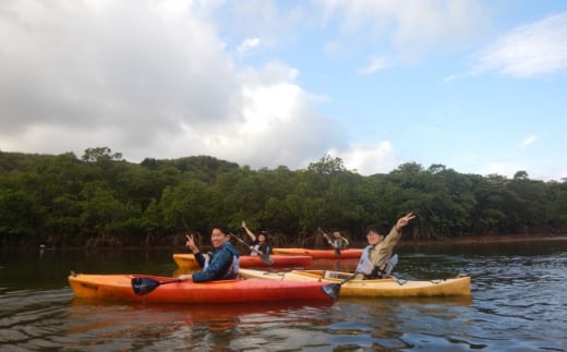 西表島マングローブビーチクリーン＋滝とカヤック 1名様