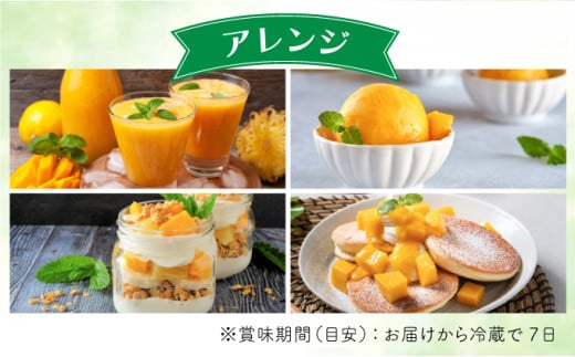 2026年 先行予約 マンゴー 約1.8kg 2～4玉 希少品種濃密 キーツマンゴー 高糖度保証！農園ファイミール 果物 フルーツ