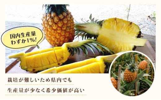 2026年 先行予約 完熟 ゴールドバレル 約3kg 2～4玉入り 最高級 パイン 果物 フルーツ 約3kg (2～4玉入り)