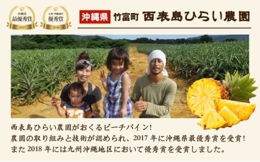 2026年 先行予約 定期便 週1 ピーチパイン 約18kg (約6kg(6～10玉)×3回配送) "いってＱ"でも紹介された 西表島ひらい農園 濃密 約18kg（約6kg（6～10玉）を週1度、3回に分けてお送り）