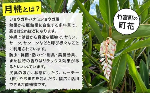 月桃かご編みバッグ(中) 中