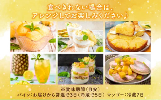 定期便 5回 2026年 先行予約 パイナップル マンゴー 旬果便 農園ファイミール 果物 フルーツ お楽しみ