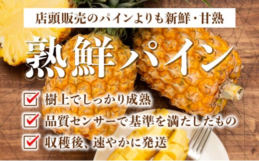 ＜訳あり！＞2026年先行予約　大きさ不揃いお得！箱にいっぱいスナックパイン9kgセット 9kg