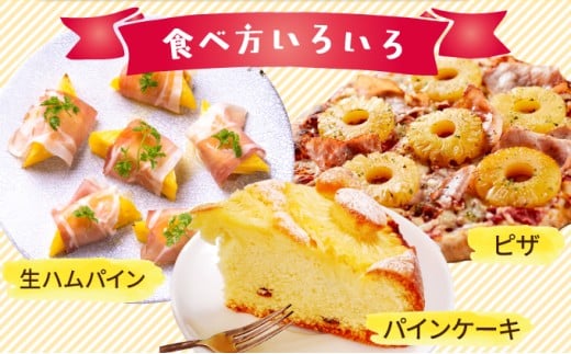 パイナップル スナックパイン 約2.5kg 2～4玉 パイン 果物 フルーツ 沖縄 西表島【TOK:iふぁーむ】配送不可：離島028-a006_2026 【約2.5kg】2～4玉