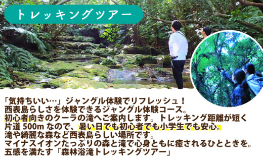 西表島 半日森林浴滝トレッキングツアー【体験可能期間:11月1日～4月30日】大人1名分【 旅行 体験チケット 西表島ツアー 大自然 体験ツアー 観光 沖縄 森林浴 滝 トレッキング アクティビティ】 大人1名分
