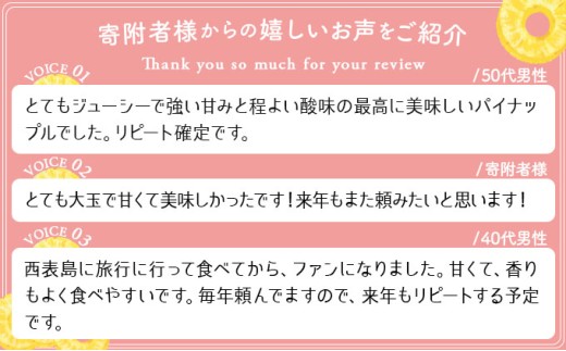 2026年 先行予約 ピーチパイン 約3kg 4～5玉 甘熟 西表島ふる～つらんど 不動の人気No.1 果物 フルーツ パイン 約3kg 4～5玉