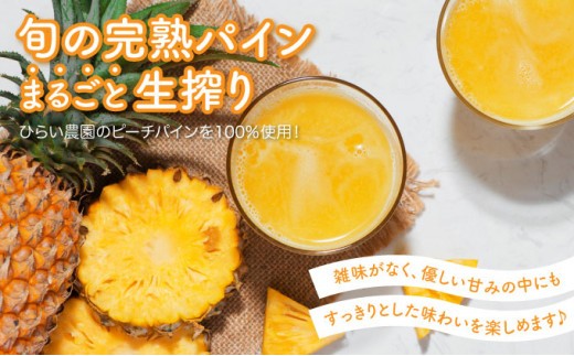 パイン ジュース ITQI2021 三ツ星受賞 7個 7個