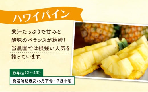 定期便 4回 2026年 先行予約 パイナップル 旬果便 農園ファイミール パイン 4種 果物 フルーツ