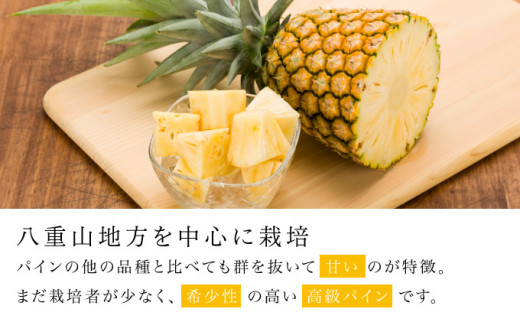 熟鮮サンドルチェ(R) 3kg(2～3玉 )2026年 先行予約 パイン沖縄 西表島産 レア品種 沖縄 西表島産 果物 フルーツ