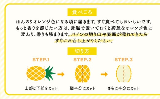 2026年 先行予約 小玉 ピーチパイン 約3kg 5～8玉 ★西表島ふる～つらんど★美味しさギュッと！ 果物 フルーツ パイン 約3kg（5～8玉）