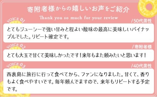 2026年 先行予約 ピーチパイン 2玉 ★西表島ふる～つらんど★不動の人気No.1 甘熟 果物 フルーツ パイン 約1.5kg 2玉
