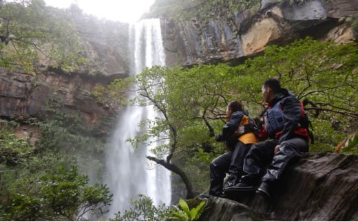 西表島マングローブカヌー＋ピナイサーラの滝 1日プラン・島てぬぐい付 1名様