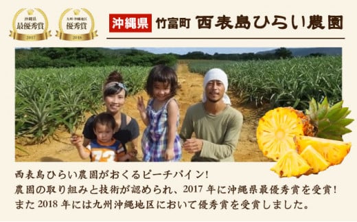 2026年 先行予約 ピーチパイン 約2kg 2～4玉 濃密 "いってＱ"でも紹介された 西表島ひらい農園 パイン パイナップル 果物 フルーツ 約2kg（2～4玉）