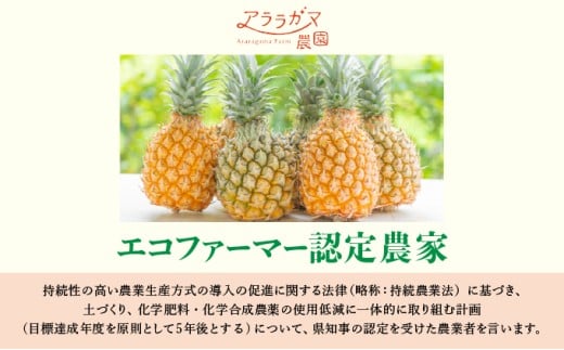 水なし、加熱なし、砂糖なし！天然まるごと！完熟生パイナップル冷凍ピューレ200ml×9本セット 200ml×9本