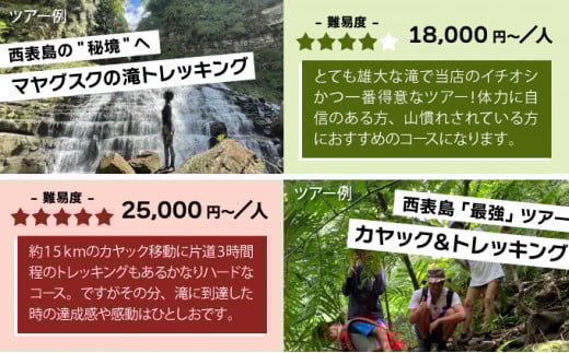 旅行券 沖縄 チケット 西表島 アクティビティ ツアーチケット 9,000円 旅行クーポン 旅行 体験 観光 クーポン 9,000円分