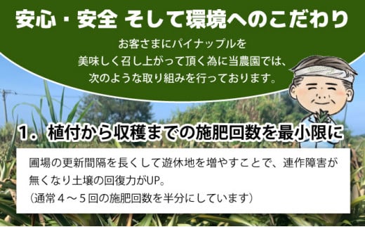【2026年発送】ゴールドバレルビッグな１玉セット 数量1玉　内容量約1.5kg前後