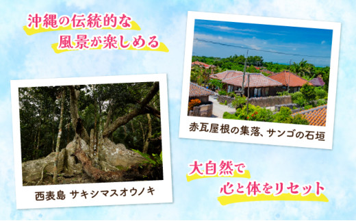 沖縄県竹富町 日本空輸株式会社 旅行クーポン 9,000円分 9,000円分