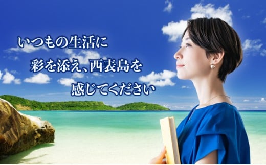 ブックカバー 【 ブックカバー 本 カバー 西表島 ミンサー ミンサー織り 】
