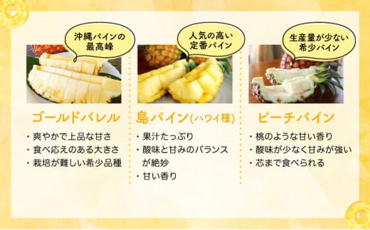 2026年 先行予約 セット パイン 約1.5kg マンゴー 約1kg 農園ファイミール 果物 フルーツ