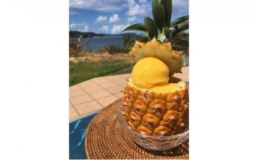 2026年  先行予約 ピーチパイン 約3kg (3～5玉) 桃の香り ますみ農園 パイン 果物 フルーツ パイン 約3kg（3～5玉）