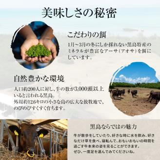 焼肉 セット 黒島 アーサ牛 満喫セット 黒島アーサ牛＆アーサ