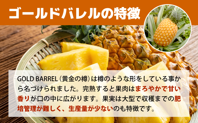 【2026年5月～7月（全3回発送）】南国の美味しさを！パイナップル 定期便 B[022-a004_2026]