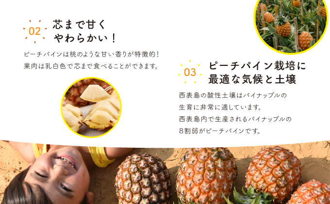 パイン ジュース ITQI2021 三ツ星受賞 35個 35個