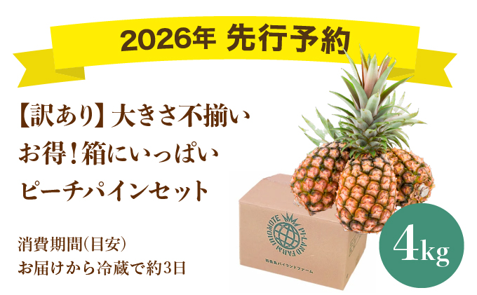 【訳あり】大きさ不揃い　お得！箱にいっぱいピーチパイン4㎏セット
