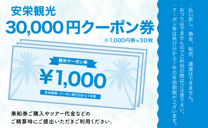 安栄観光 30,000円クーポン券 30,000円