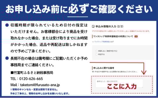 2026年 先行予約 西表島の完熟ピーチパイン 6kg (5〜8玉)【嘉本商店 完熟 果物 フルーツ】お届け：5月中旬～6月中旬頃