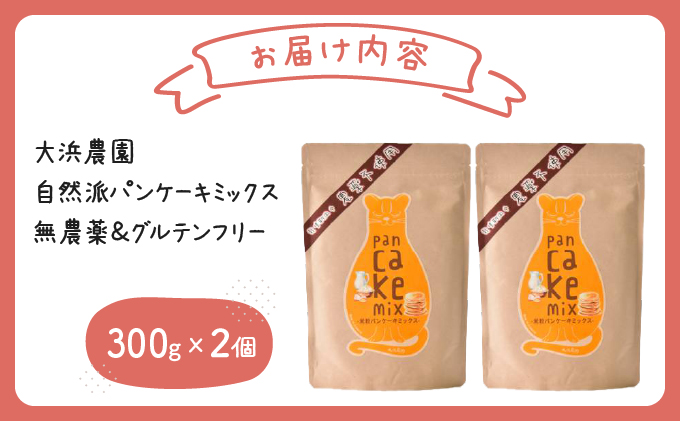 大浜農園 自然派パンケーキミックス 無農薬＆グルテンフリー【お菓子・焼き菓子・グルテンフリー・米粉・パンケーキ】