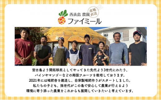 2026年 先行予約 アップルマンゴー 約4kg 8～12玉入り 八重山マンゴー品評会総合1位を計3回獲得！高糖度保証！農園ファイミール 濃厚 果物 フルーツ 約4kg (8～12玉)