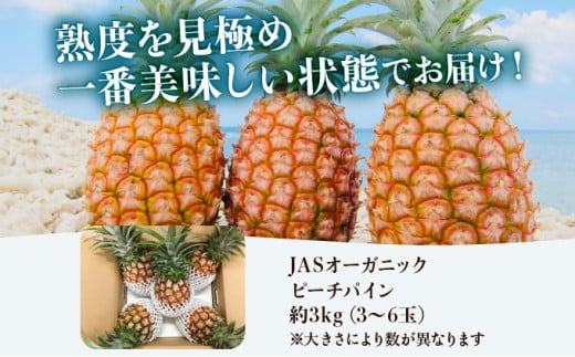 【JASオーガニック】 プレミアムピーチパイン 約3kg 3～6玉 約3kg 3～6玉