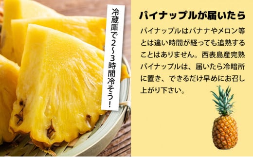 【2026年発送】ゴールドバレルビッグな２玉セット 数量2玉　内容量約3.0kg前後